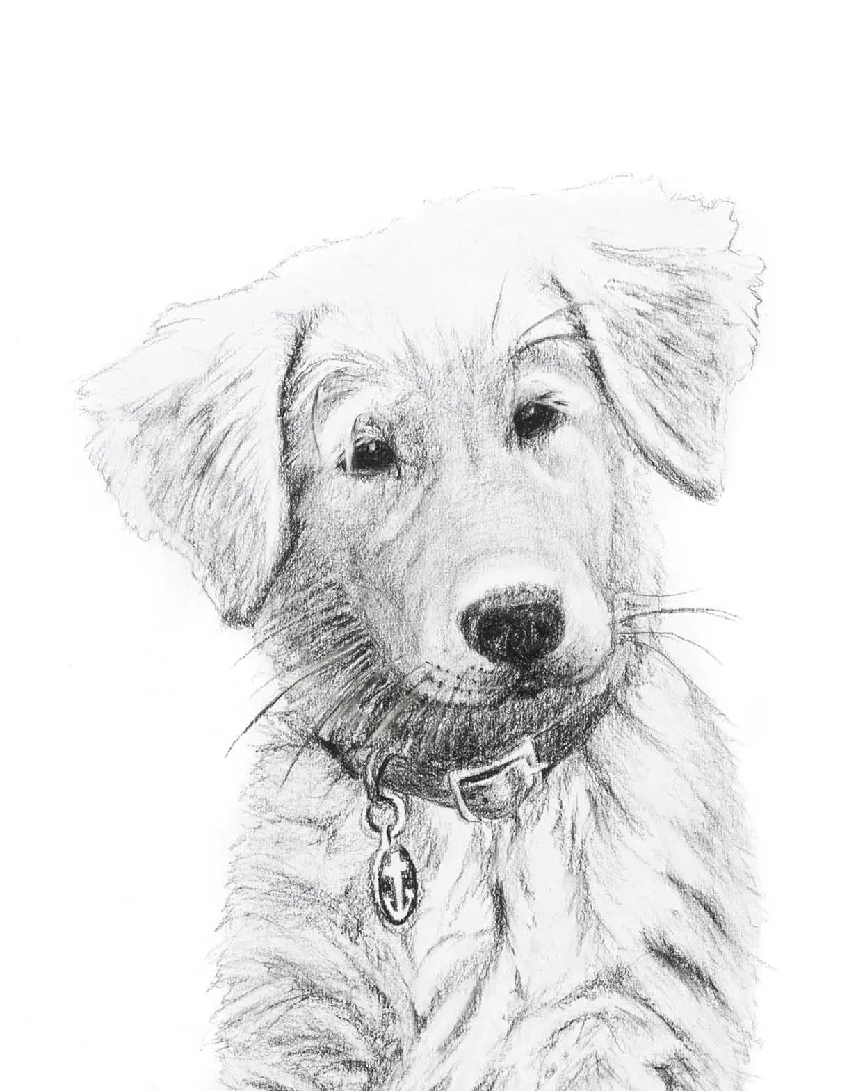 Adorable Golden Retriever