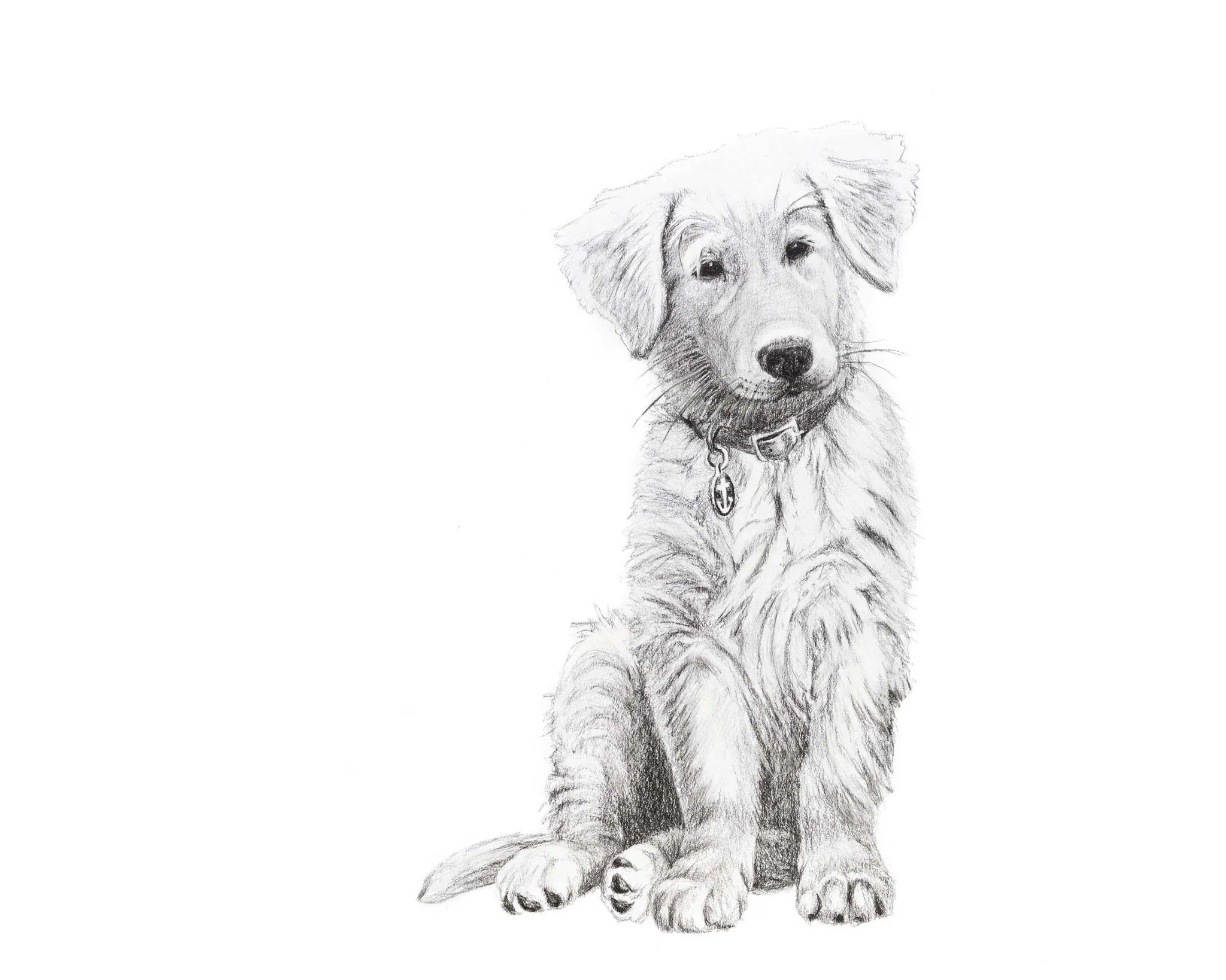 Adorable Golden Retriever