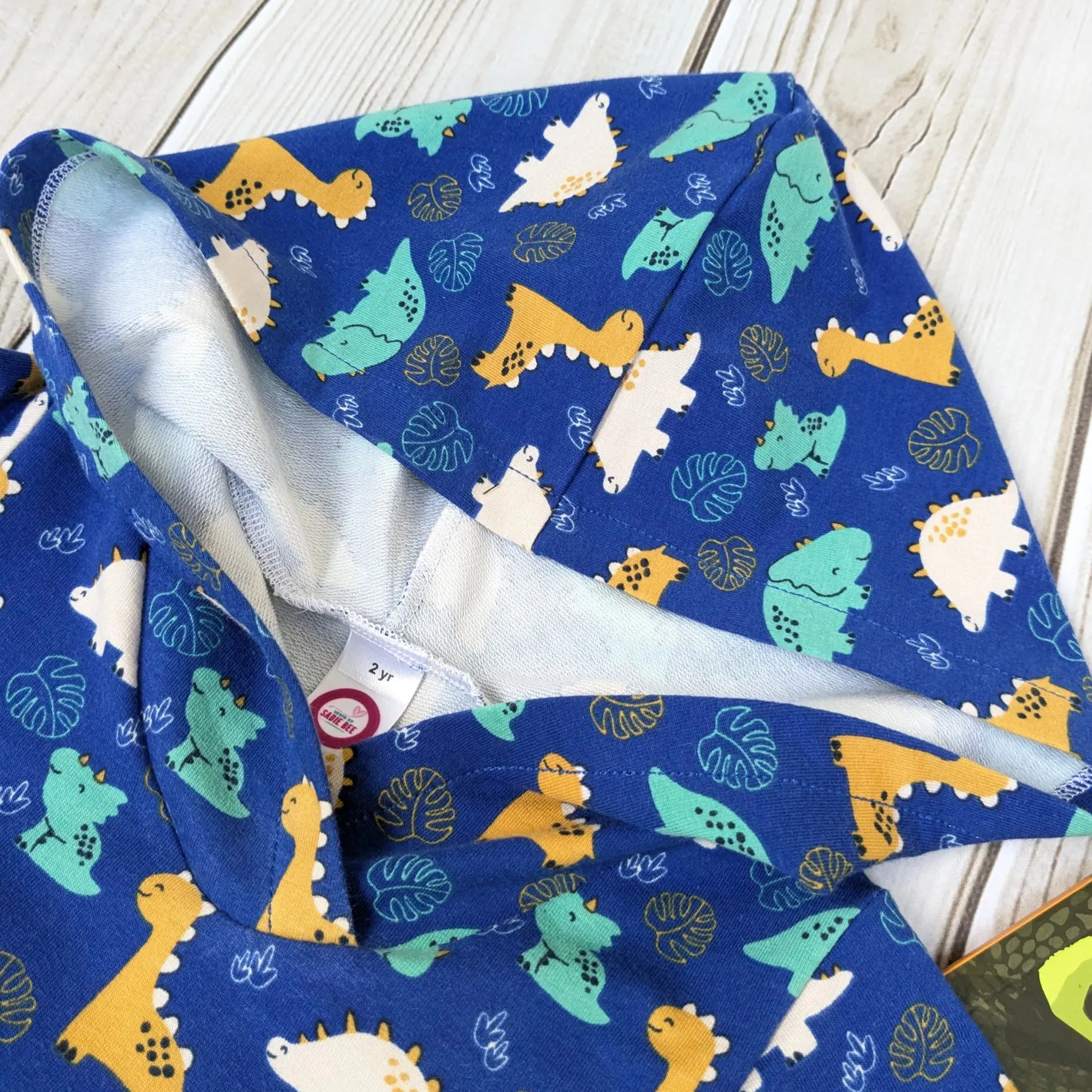 Cute Dino Hoodie