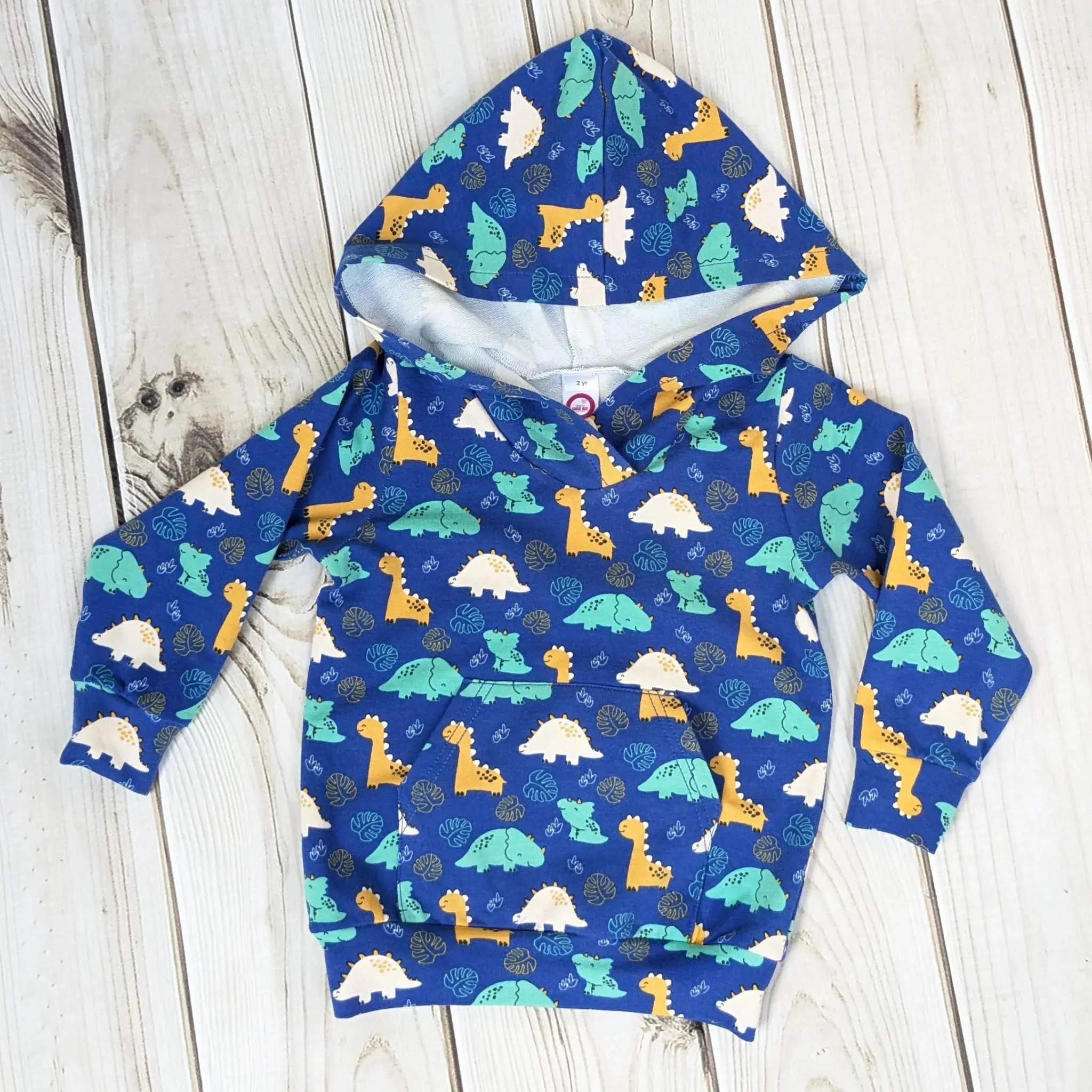 Cute Dino Hoodie