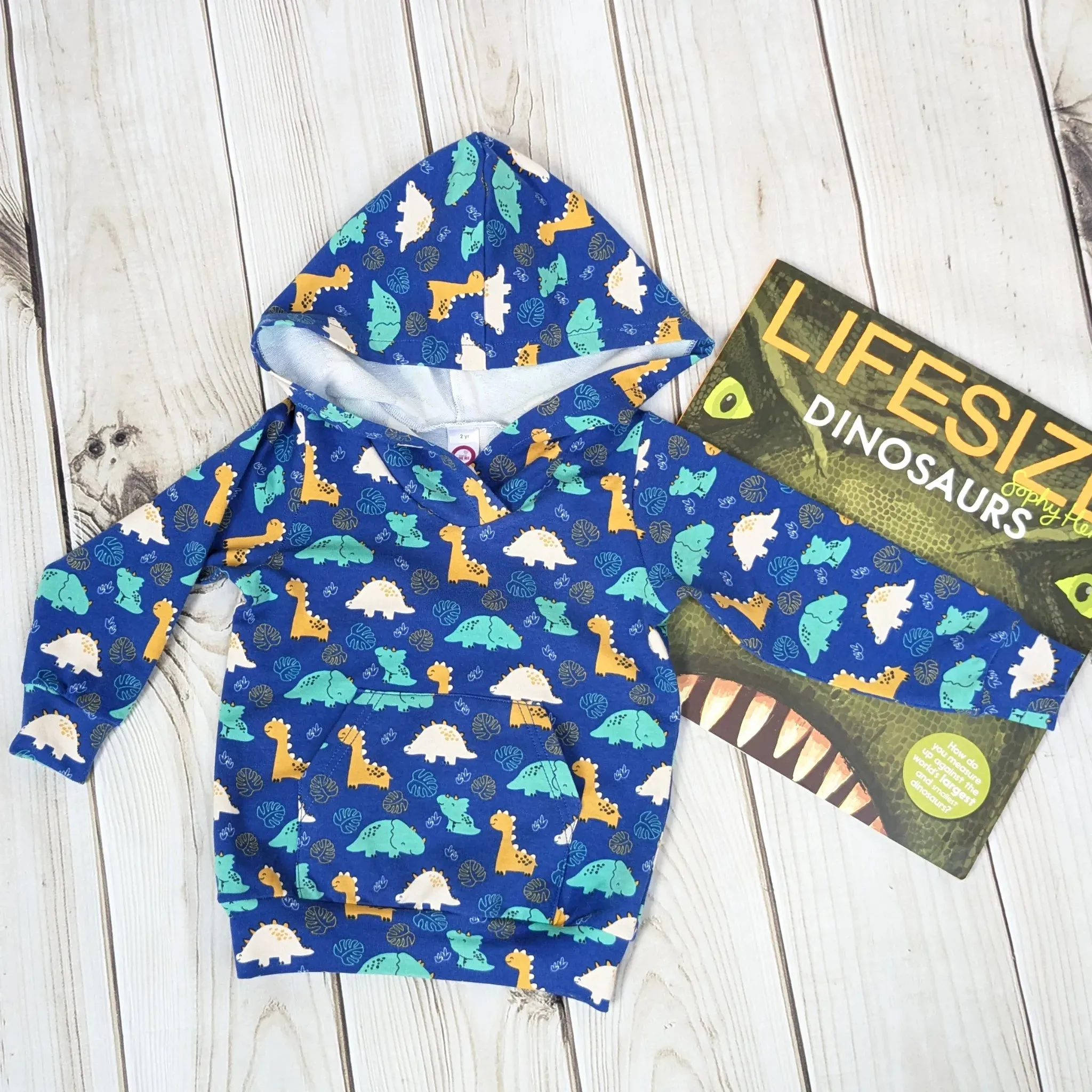 Cute Dino Hoodie