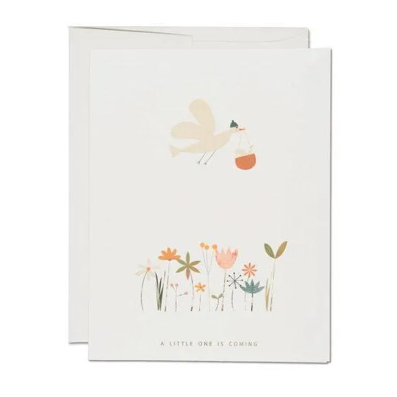 Red Cap New Baby Cards