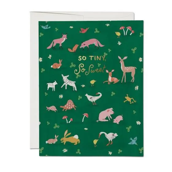 Red Cap New Baby Cards